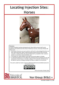 Clinical skills instruction booklet cover page, Locating Horse Injection Sites